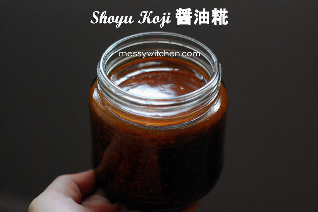 Shoyu Koji 醤油糀